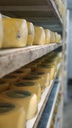 Queso Chanco Mantecoso De la Colonia Kg