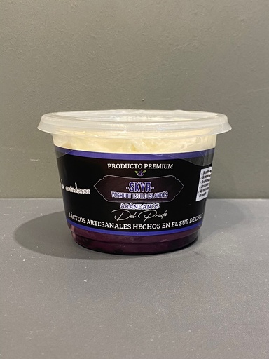 Skyr Arándanos 500grs